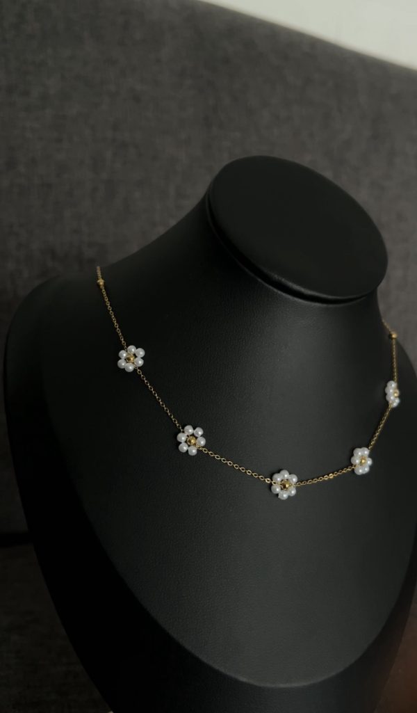 Daisy - Image 2